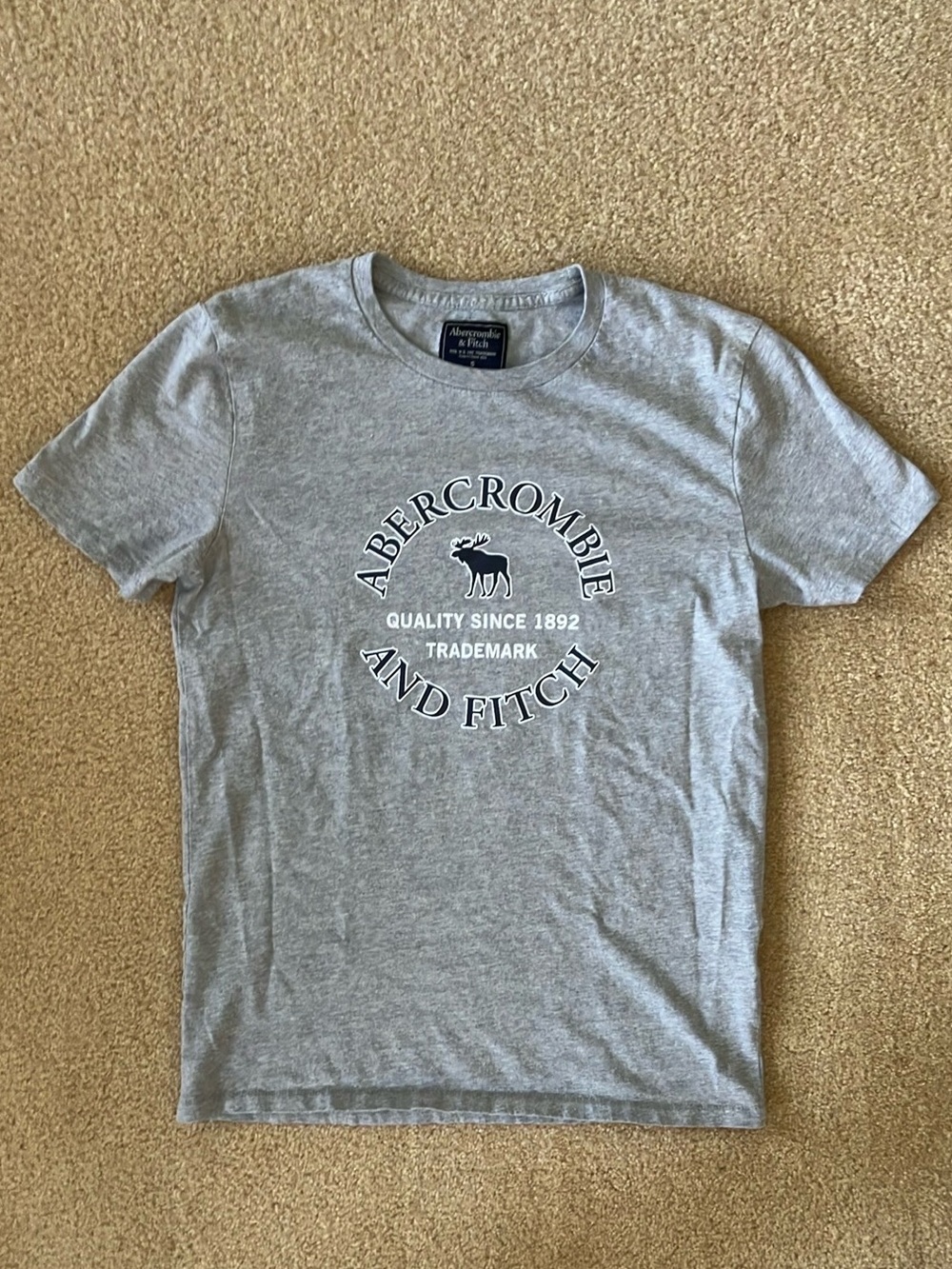 EUC Abercrombie & Fitch Y2K Gray Men's T-Shirt | Size Small